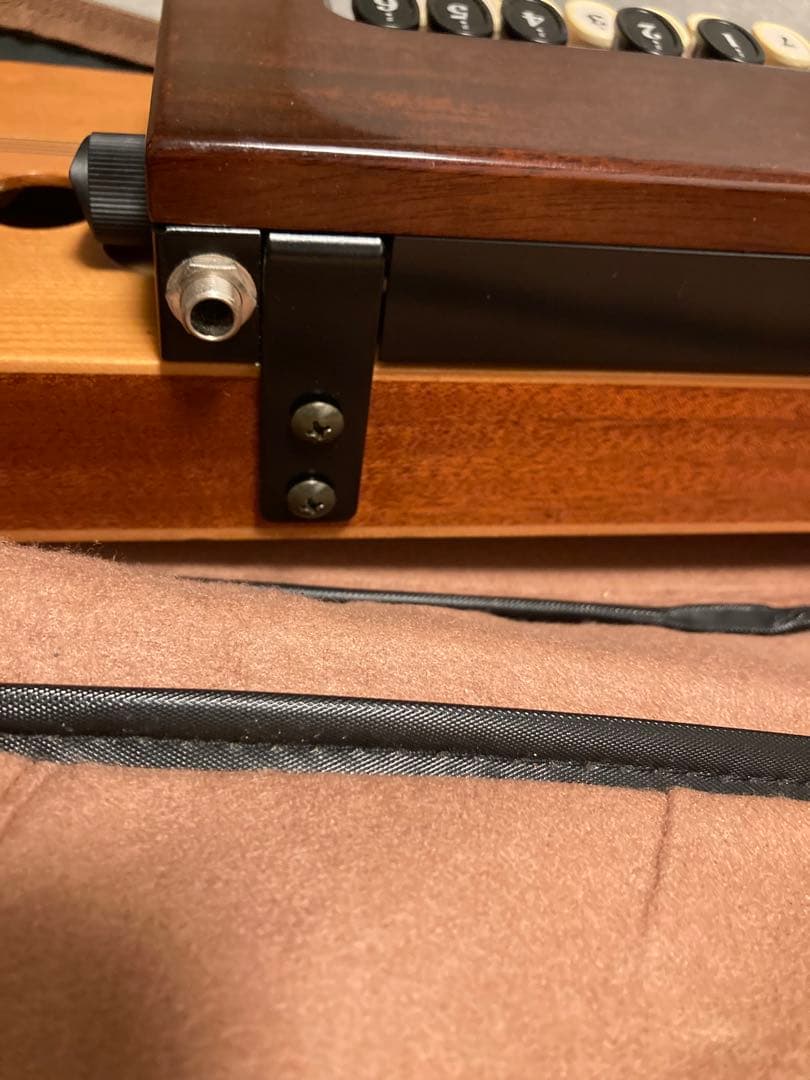 YAMAHA大正琴　エレキ大正琴TH10E