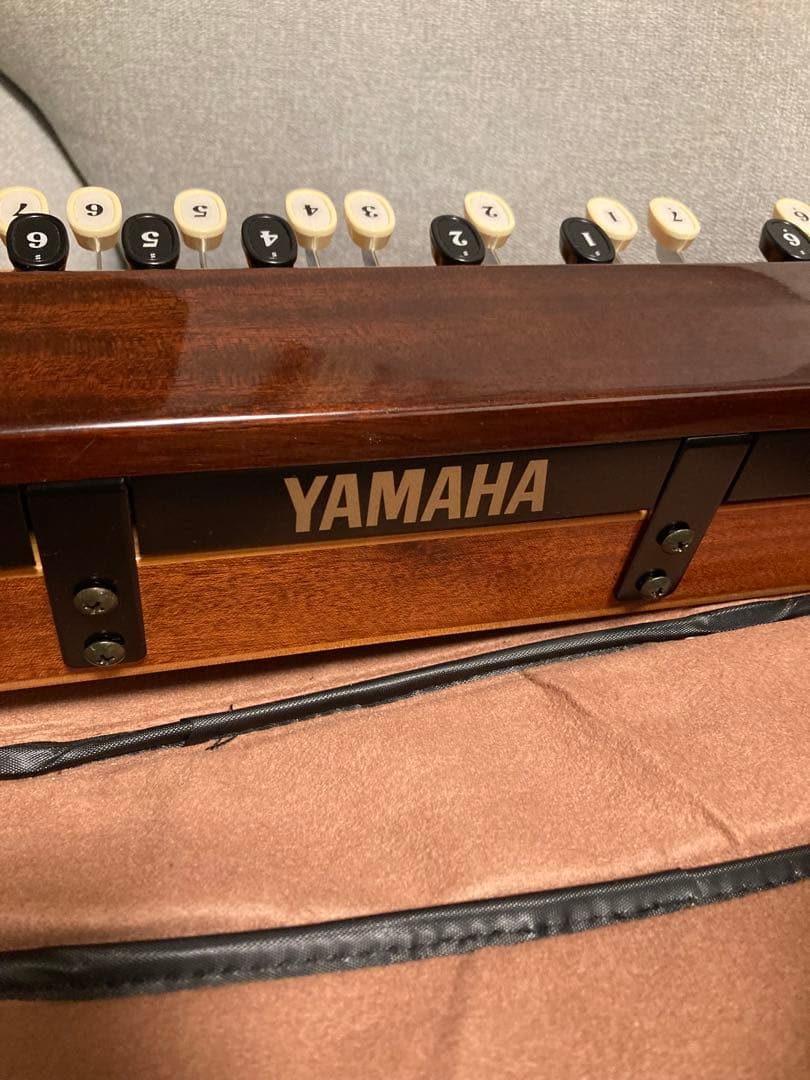 YAMAHA大正琴　エレキ大正琴TH10E