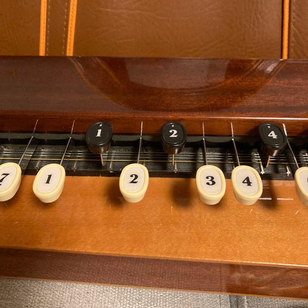 YAMAHA大正琴　エレキ大正琴TH10E