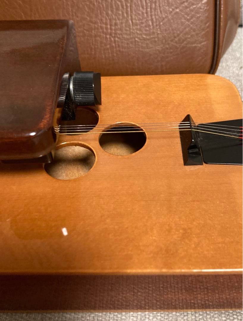 YAMAHA大正琴　エレキ大正琴TH10E