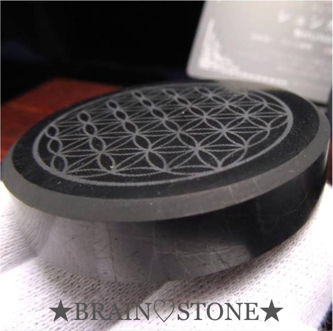 ★特選NEW★希少レア☆奇跡の石【シュンガイトフラワーオブライフプレート 】❤️