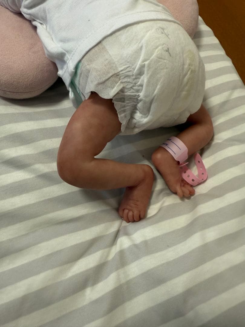 リボーンドール　プリミー　プレート付き