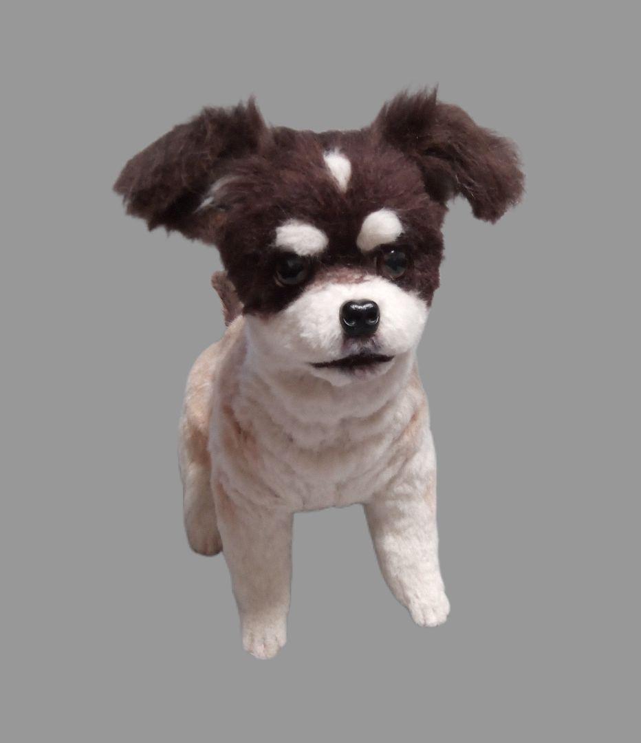 愛犬さんの羊毛オーダー・受注制作・わんちゃん