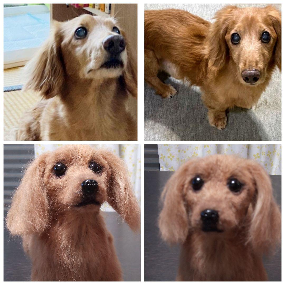 愛犬さんの羊毛オーダー・受注制作・わんちゃん