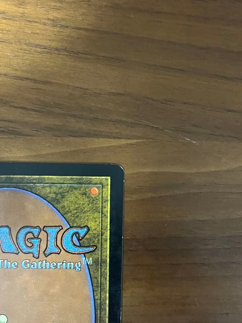 MTG 日本語 錯乱した隠遁者 エラーカード