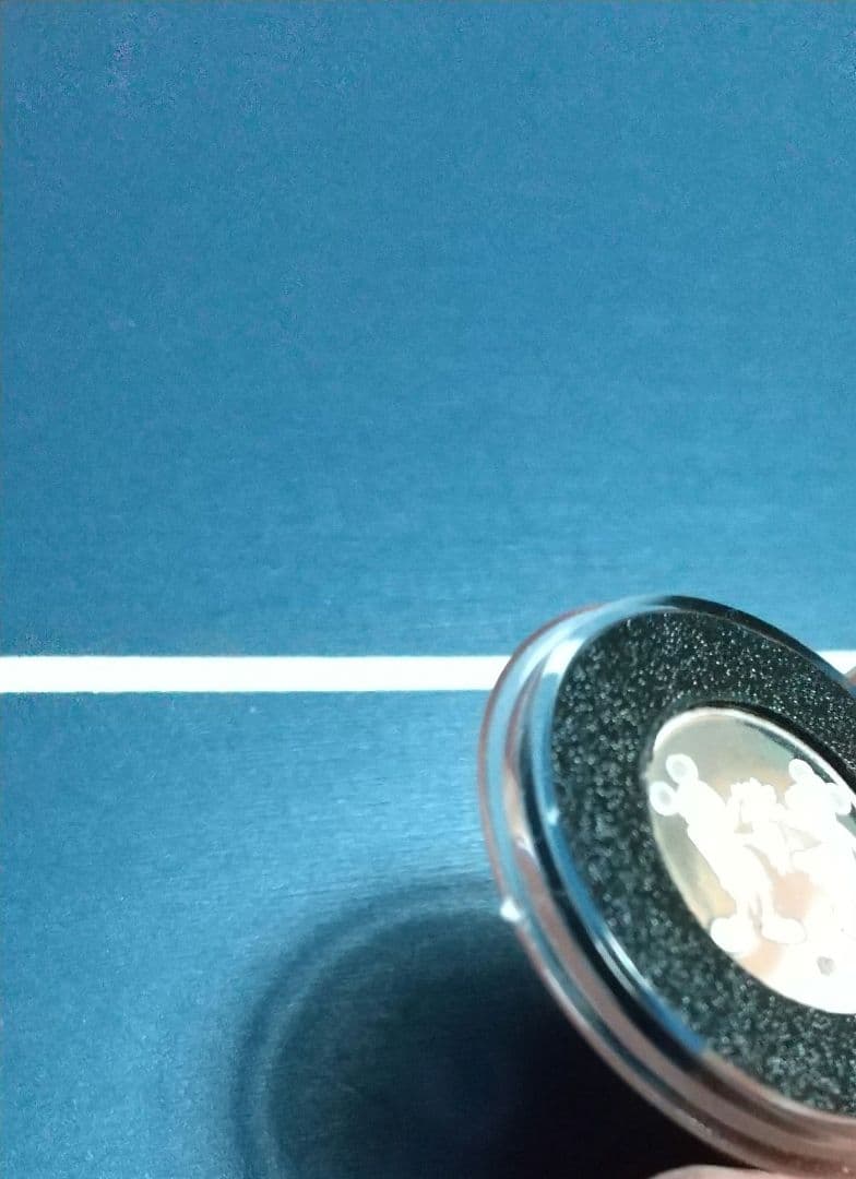 ディズニー シルバー メダル 1990 匿名配送 - メルカリ