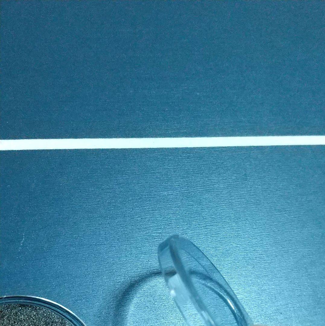 ディズニー シルバー メダル 1990 匿名配送 - メルカリ