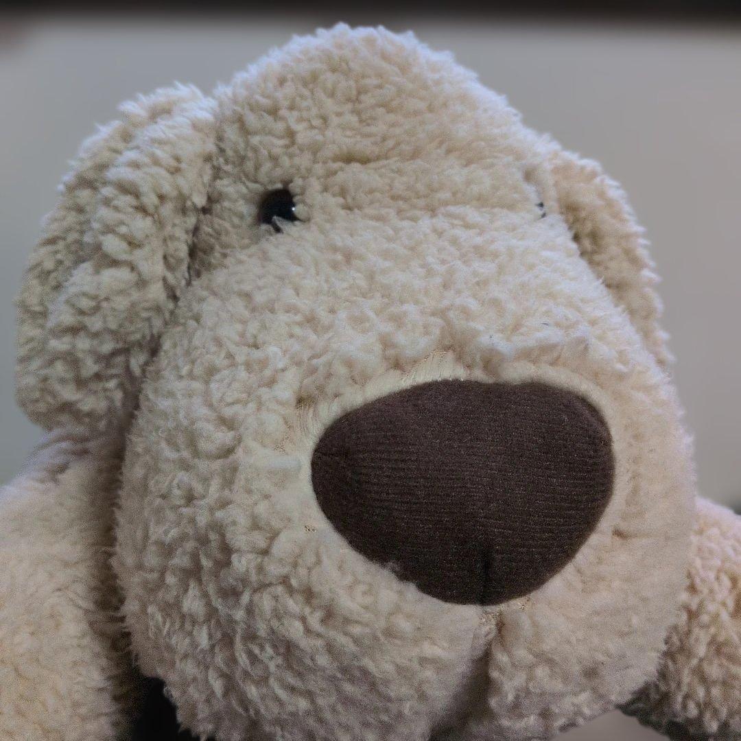 salut!　サリュ　おひるねワンコ　抱き枕　ぬいぐるみ