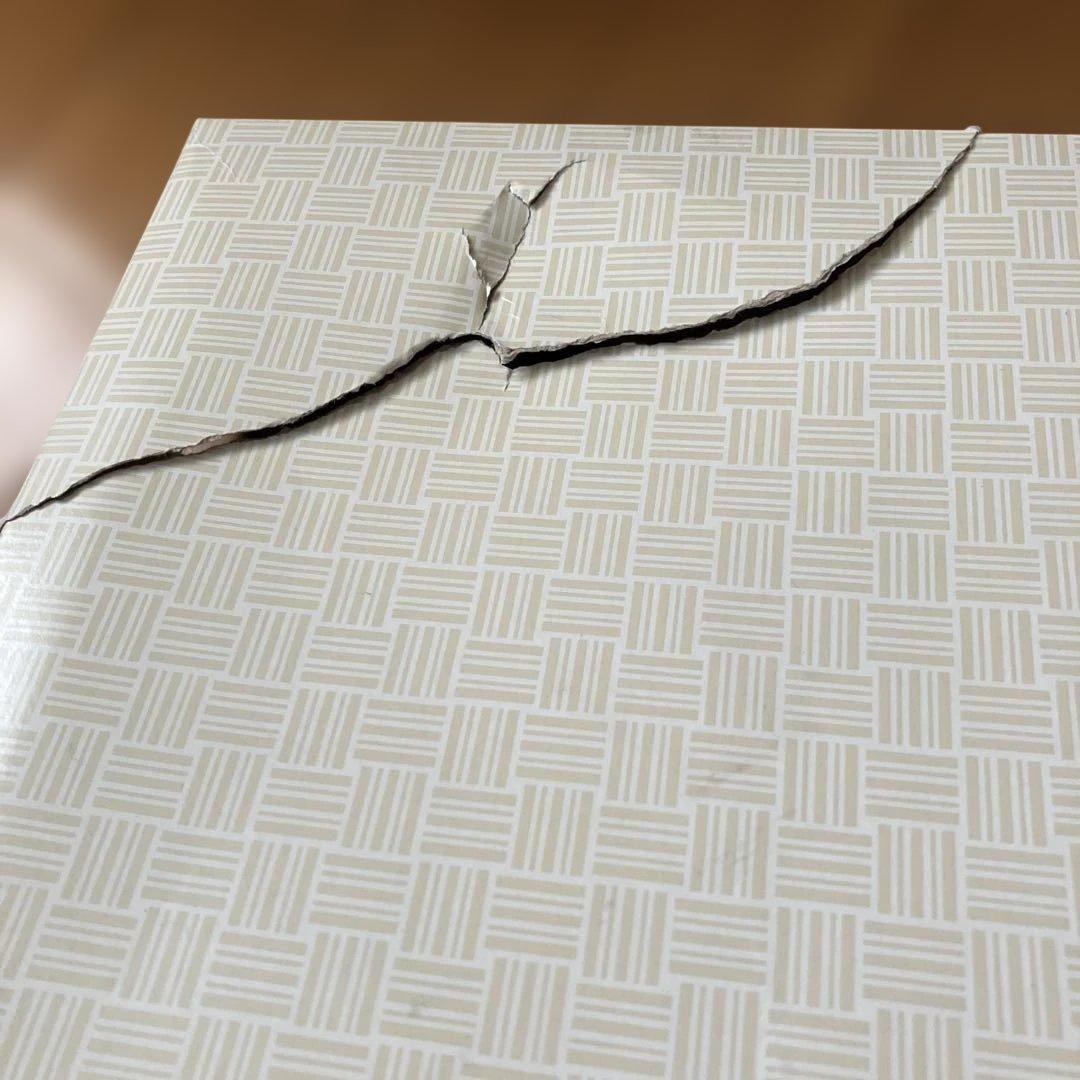 泉州織物 シルク混紡ブランケット 2枚セット