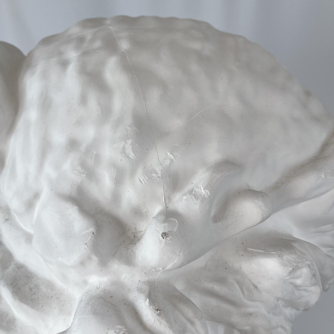 アリアス　胸像　石膏像　デッサン　美術　オブジェ　教材