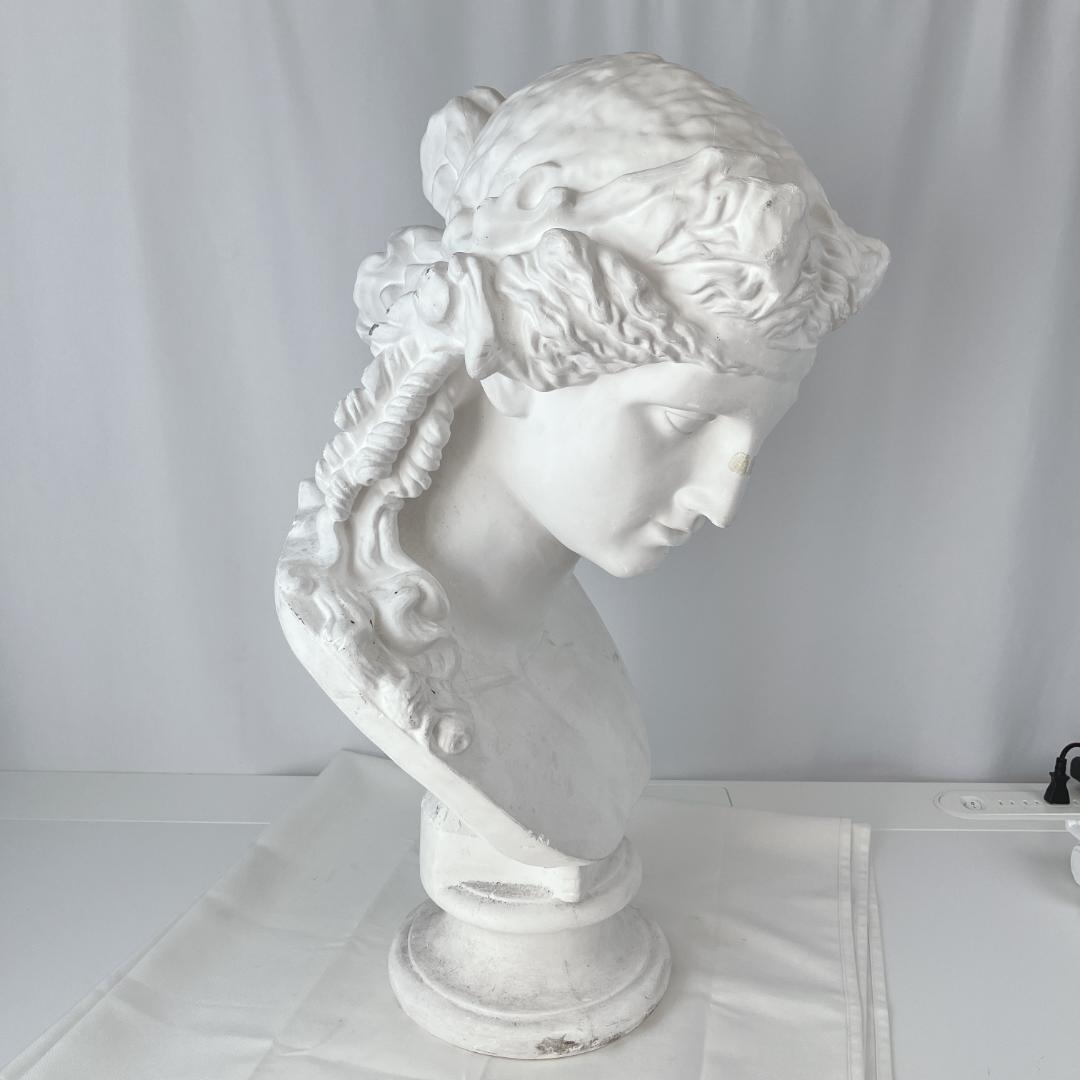 アリアス　胸像　石膏像　デッサン　美術　オブジェ　教材