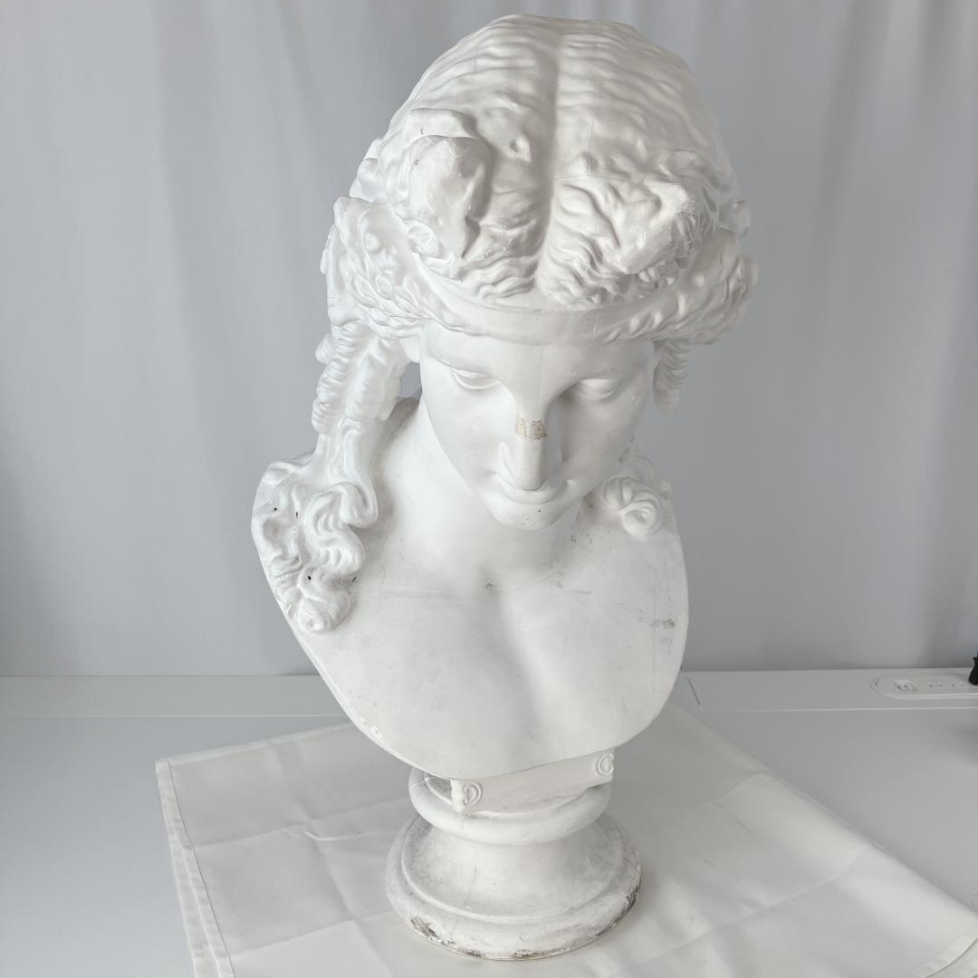 アリアス　胸像　石膏像　デッサン　美術　オブジェ　教材