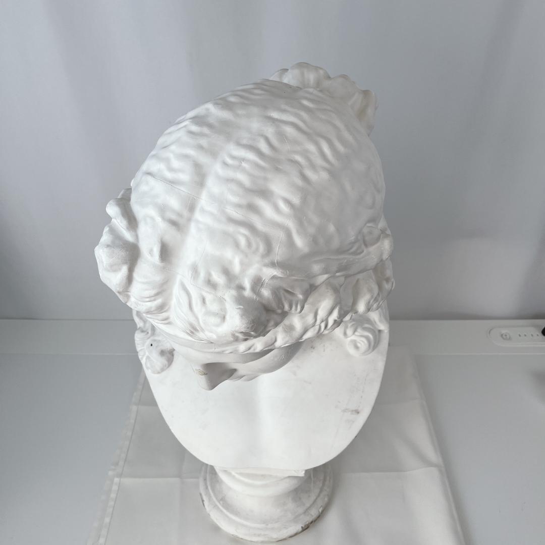 アリアス　胸像　石膏像　デッサン　美術　オブジェ　教材