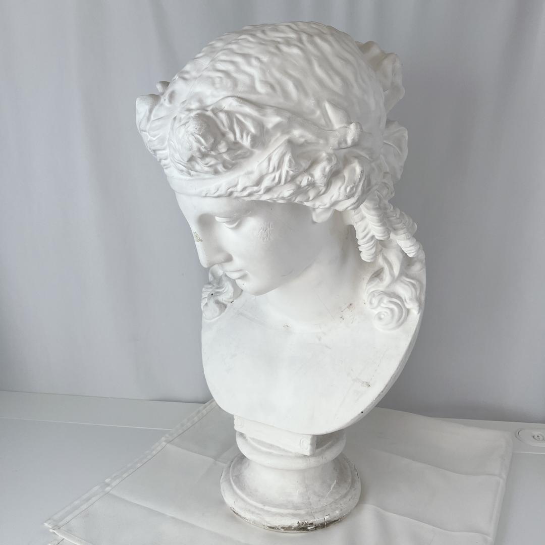 アリアス　胸像　石膏像　デッサン　美術　オブジェ　教材