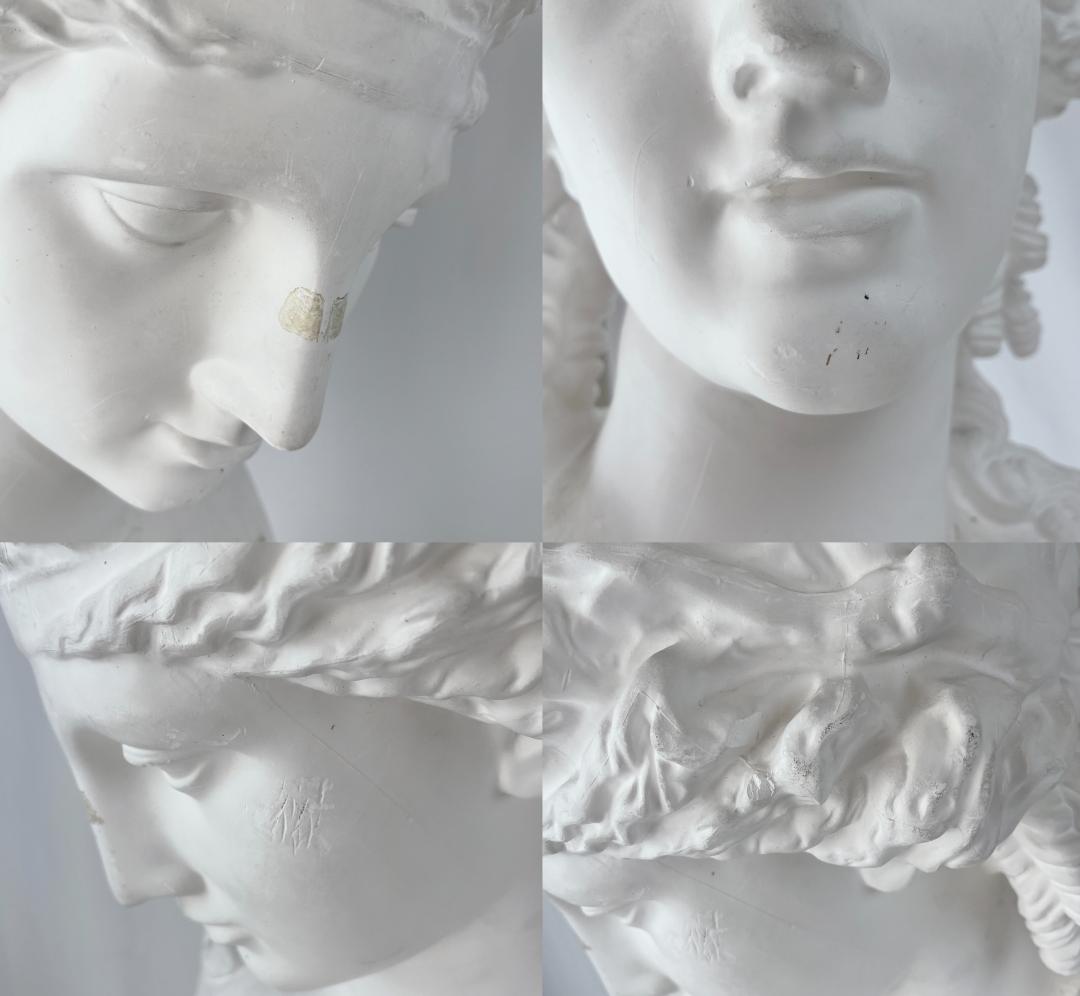 アリアス　胸像　石膏像　デッサン　美術　オブジェ　教材