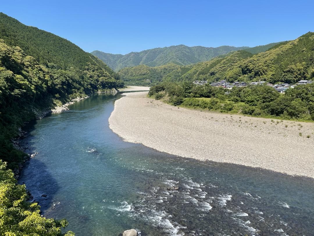 四万十川の流木　お題 ： エンゼルフィッシュ