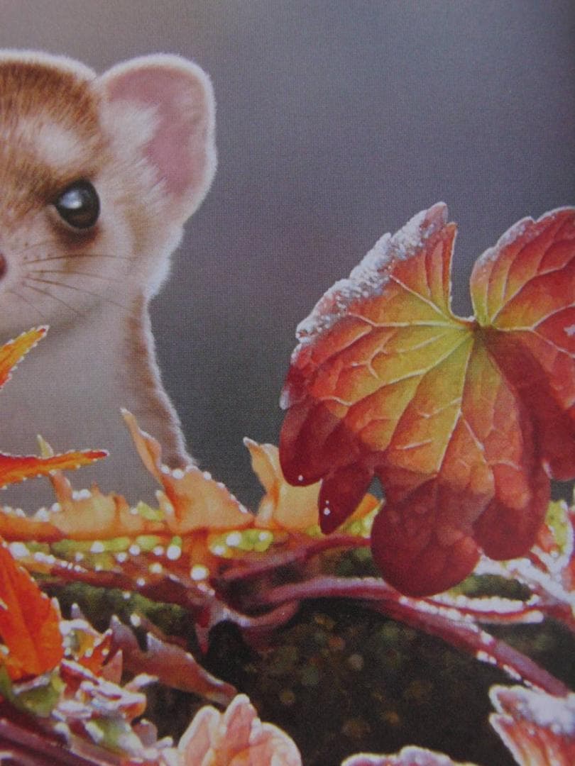 山地司、【オコジョ1】、希少な額装用画集より、状態良好、新品額装付