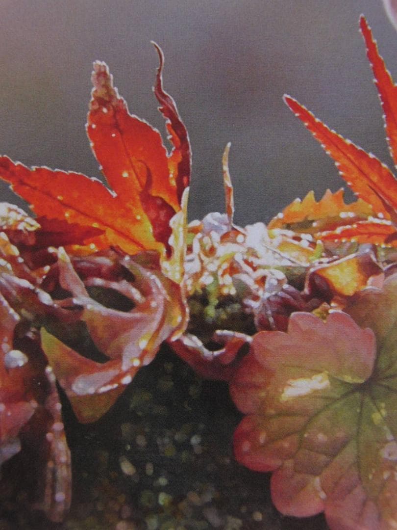 山地司、【オコジョ1】、希少な額装用画集より、状態良好、新品額装付