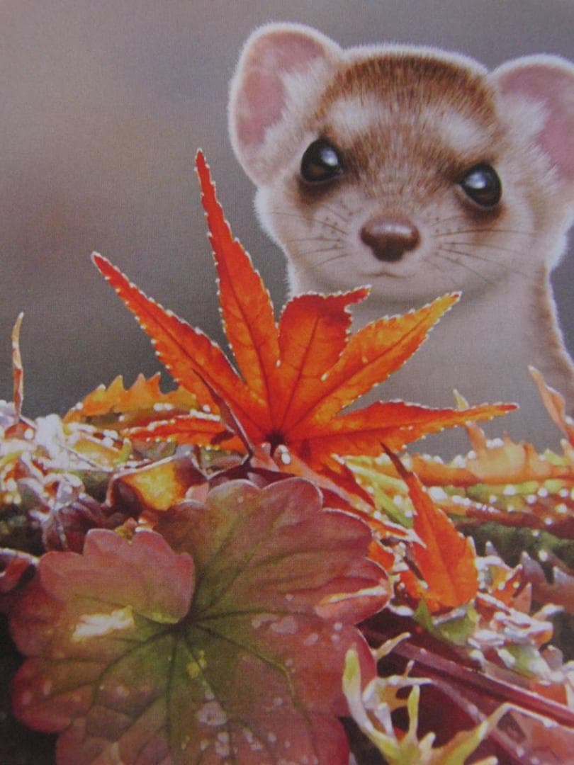 山地司、【オコジョ1】、希少な額装用画集より、状態良好、新品額装付