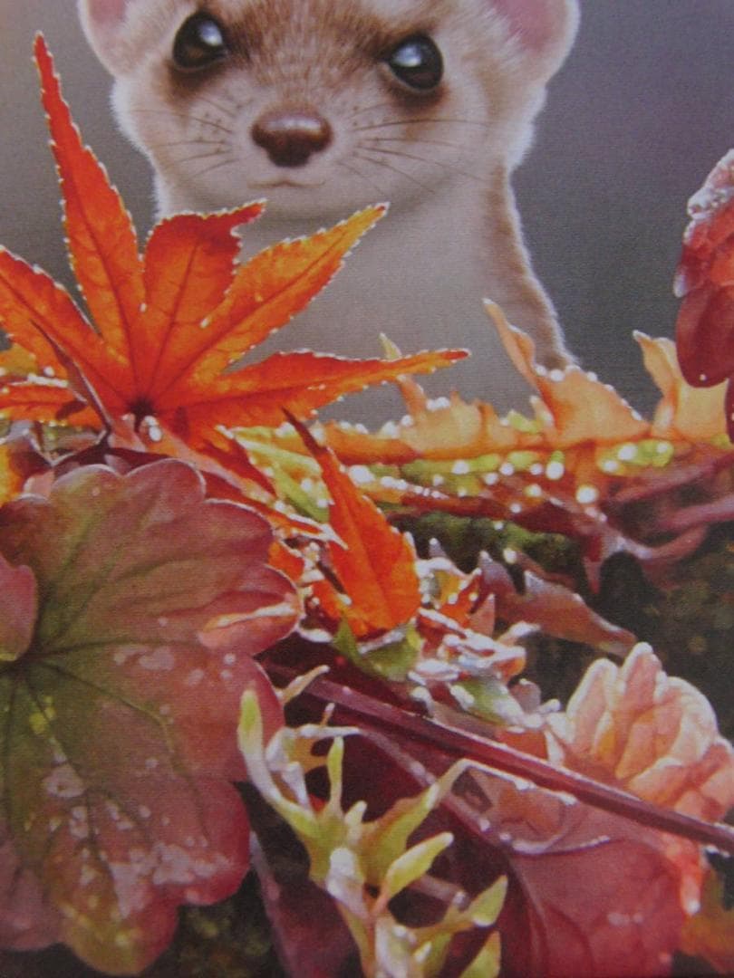 山地司、【オコジョ1】、希少な額装用画集より、状態良好、新品額装付