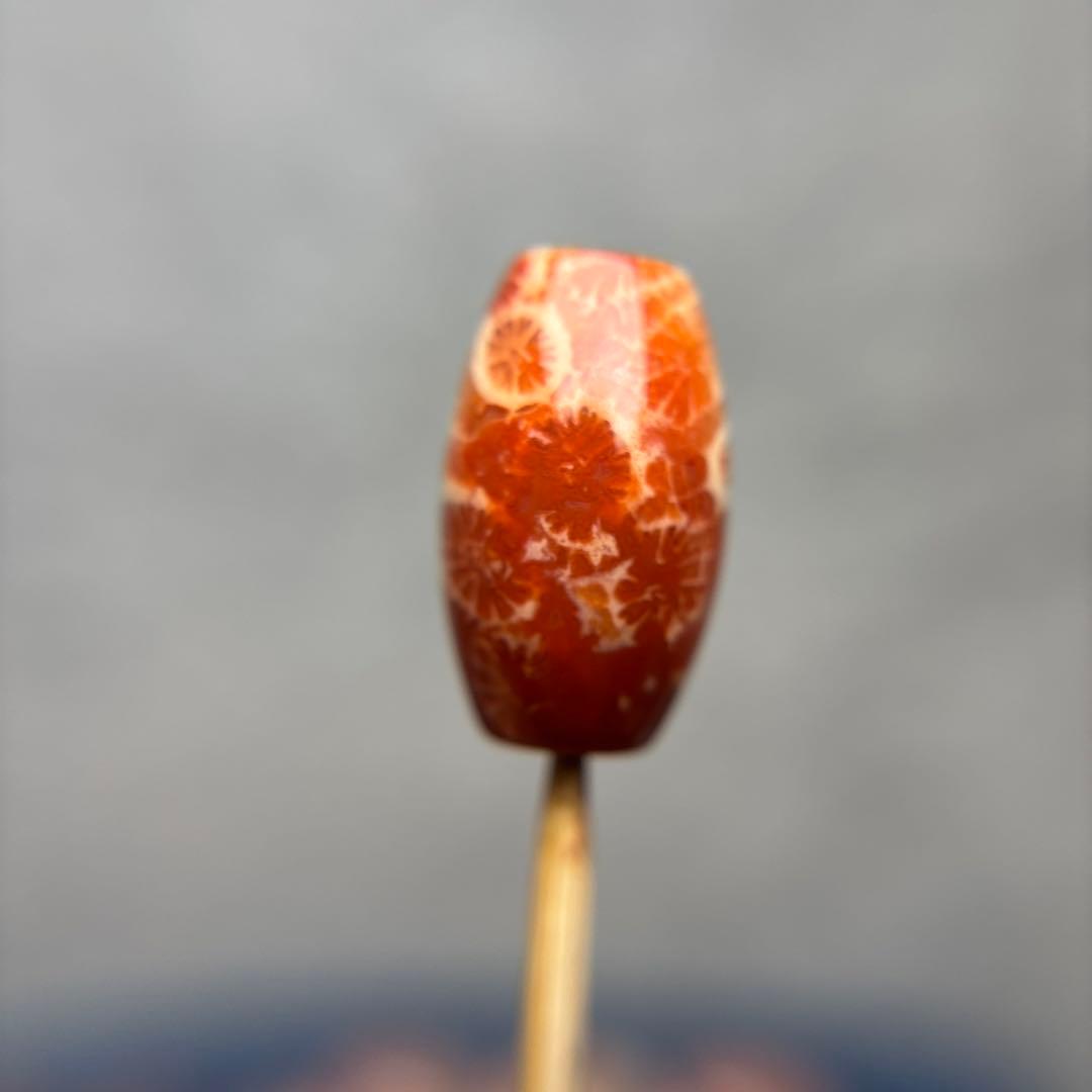 Nagiフォッシルコーラル　天珠　1-290