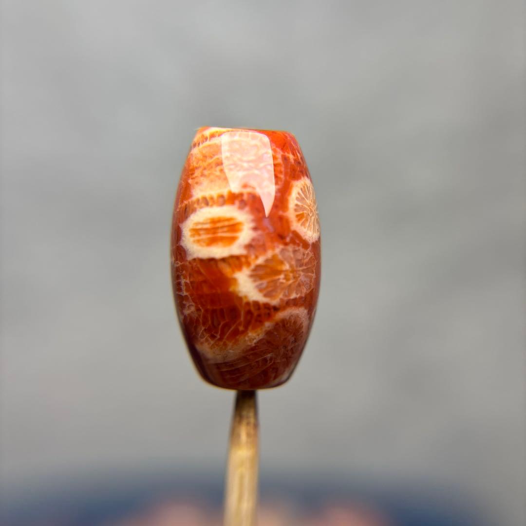 Nagiフォッシルコーラル　天珠　1-290