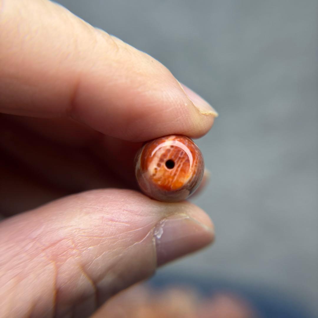 Nagiフォッシルコーラル　天珠　1-290