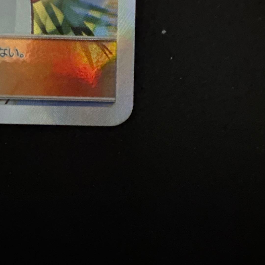 かんこうきゃく SR ワン太郎様専用 - メルカリ