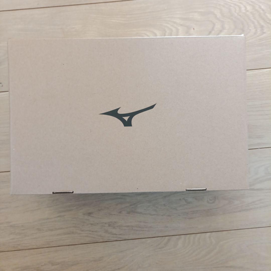 Mizuno Almighty VS 安全靴 28.0cm EEE