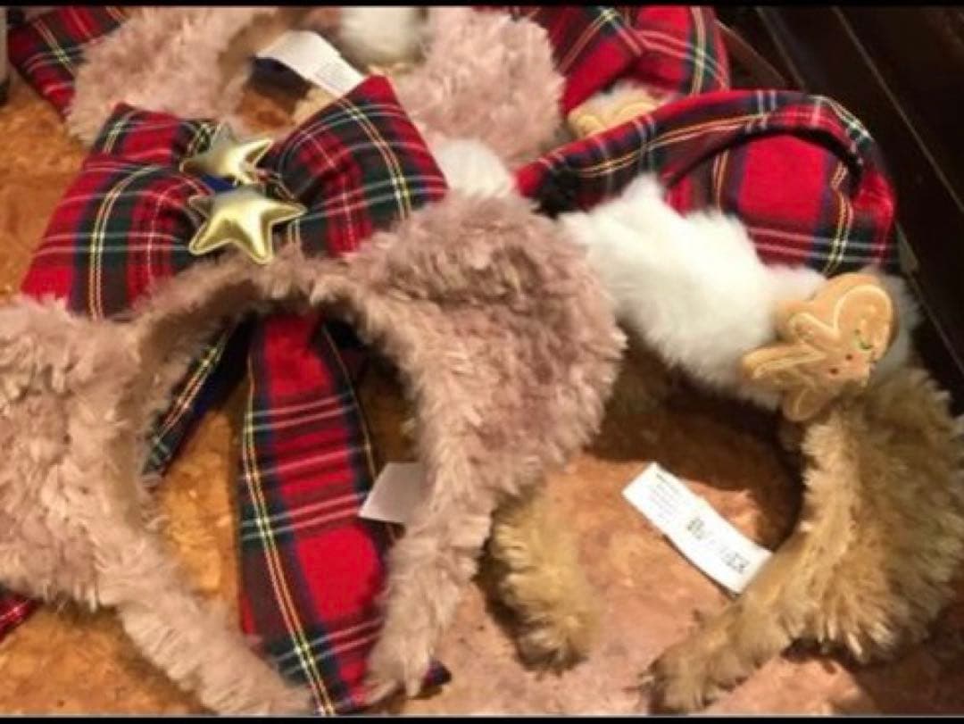 香港ディズニーランド　カチューシャセット