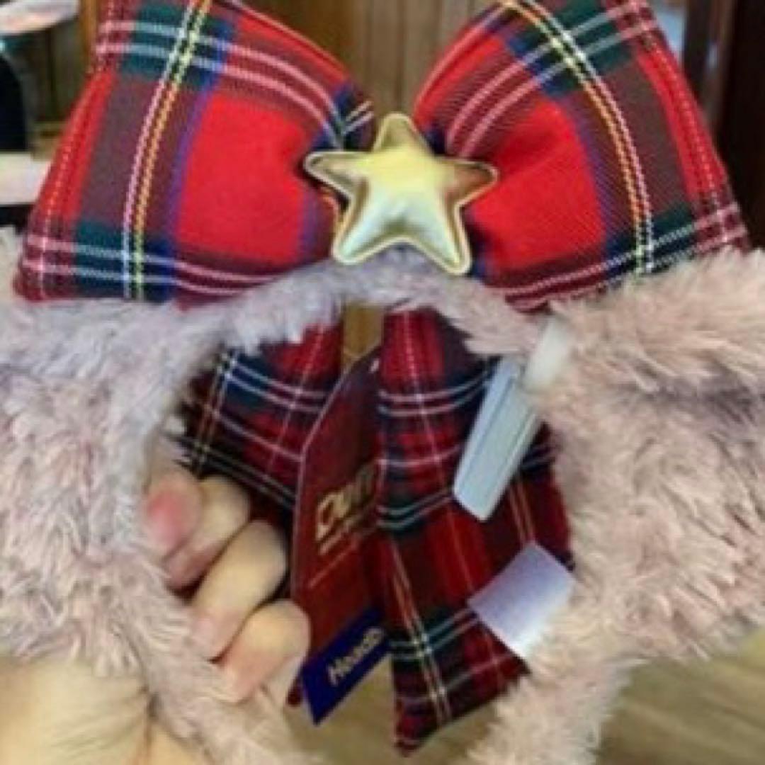 香港ディズニーランド　カチューシャセット