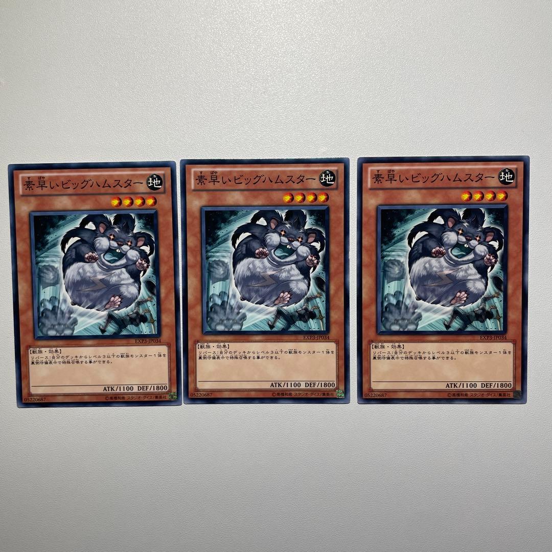 遊戯王 素早いビッグハムスター 3枚 - メルカリ