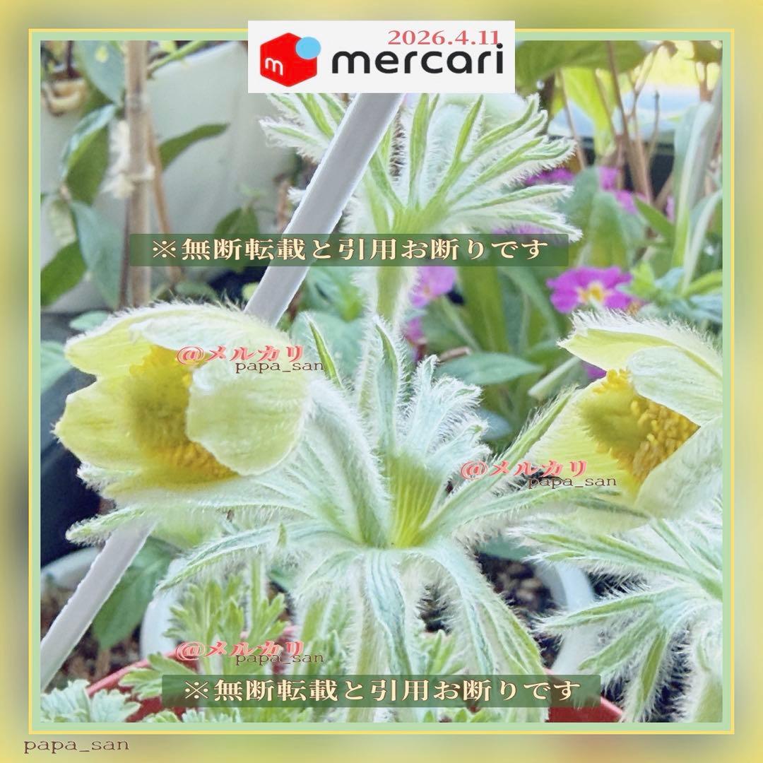 ❀メルカリc様✩ページです