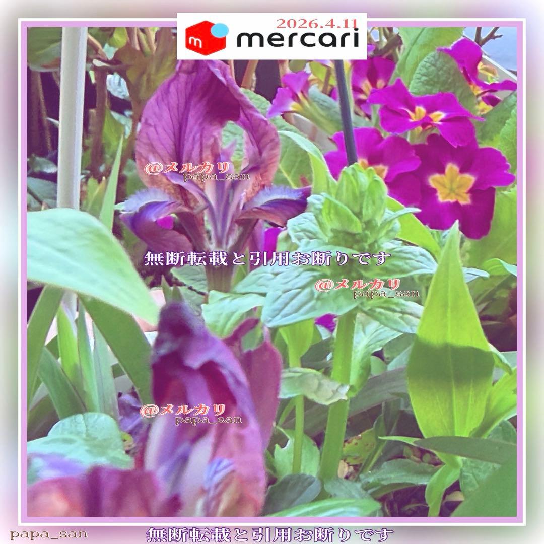 ❀メルカリc様✩ページです