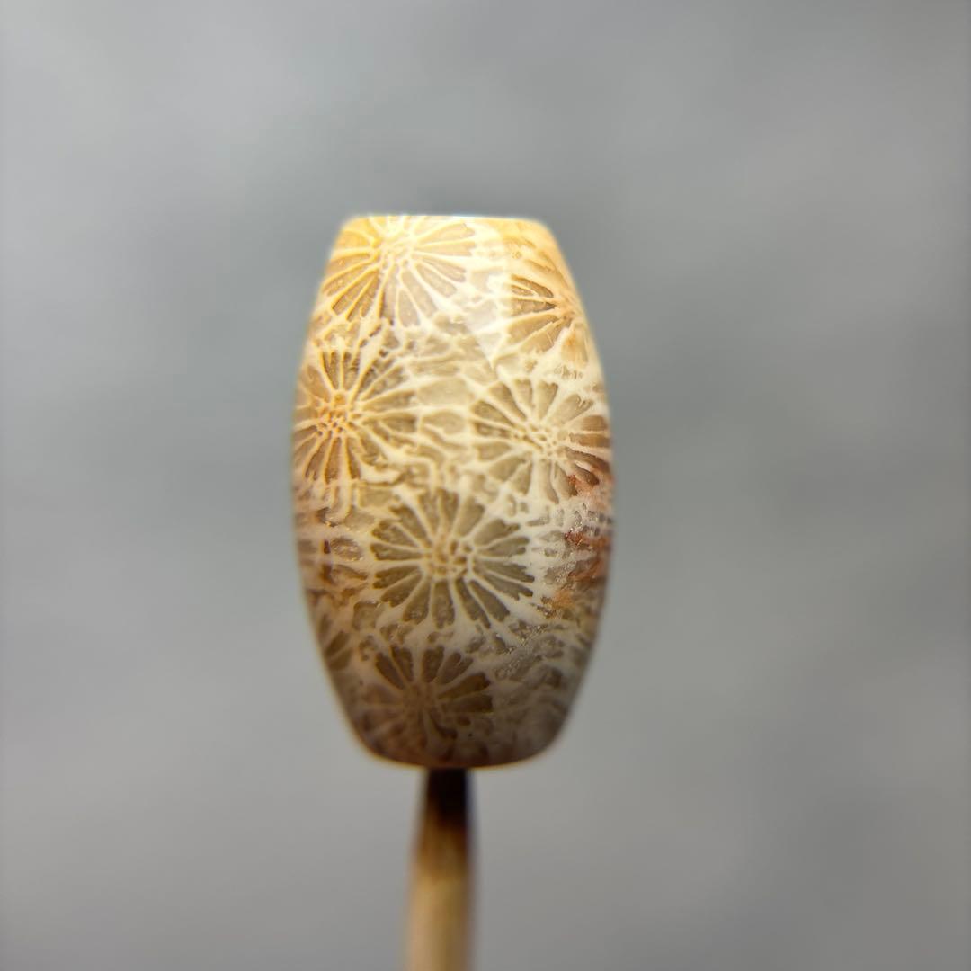 あずきちゃんフォッシルコーラル　天珠　1-311