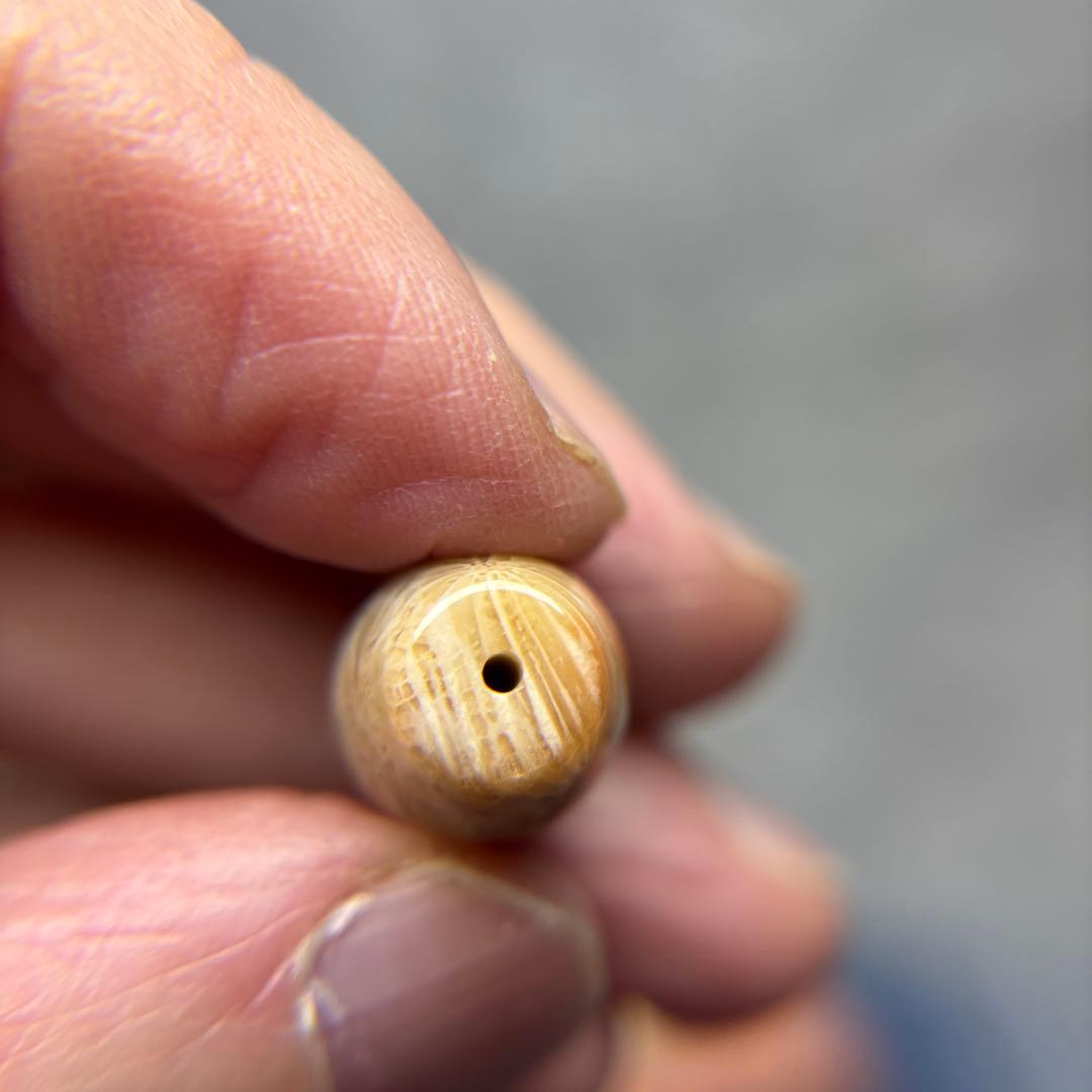 あずきちゃんフォッシルコーラル　天珠　1-311