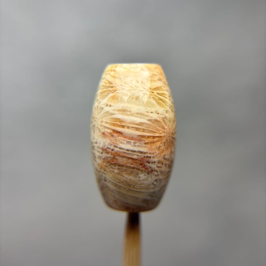 あずきちゃんフォッシルコーラル　天珠　1-311