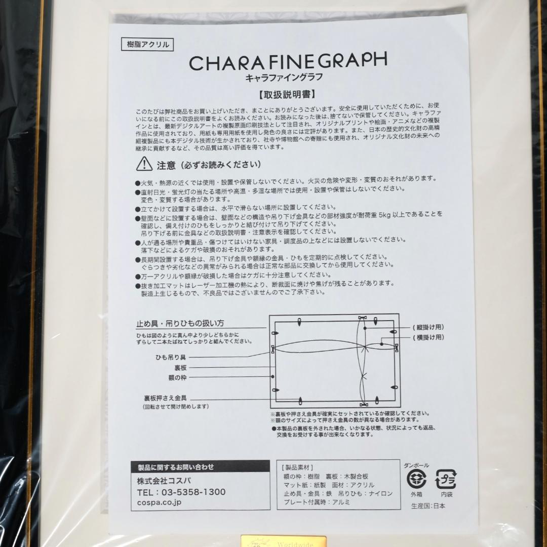 限定 進撃の巨人 ワールドワイド アフターパーティー キャラファイン