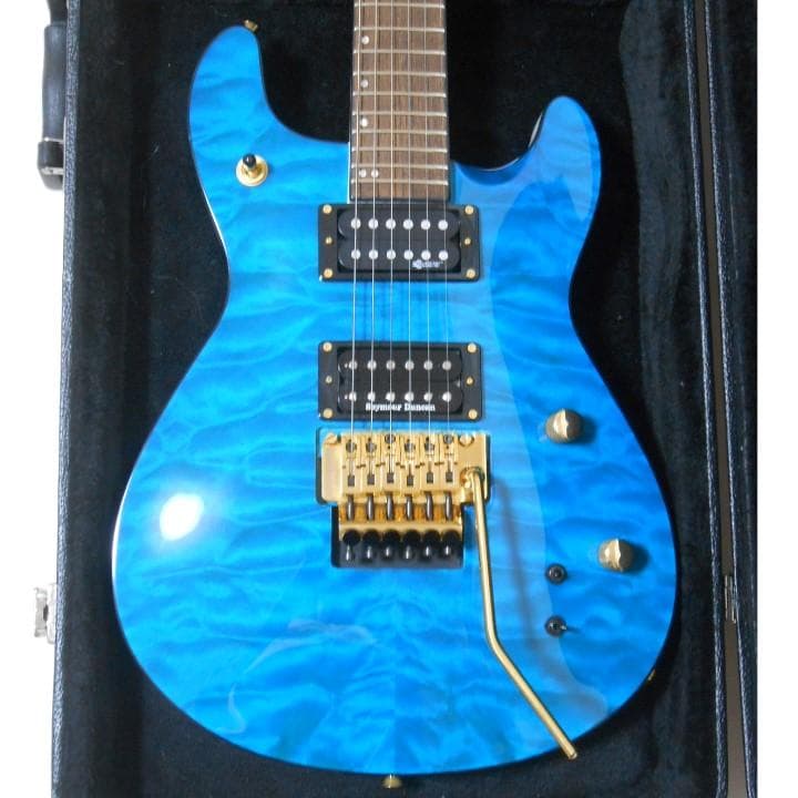 美品 サスティナー搭載！ FERNANDES APG-85S ダンカンPU - メルカリ