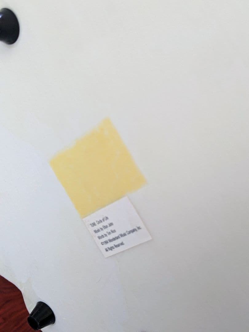 【ジュリ】ディズニーストア25周年記念限定品ライオンキング〜