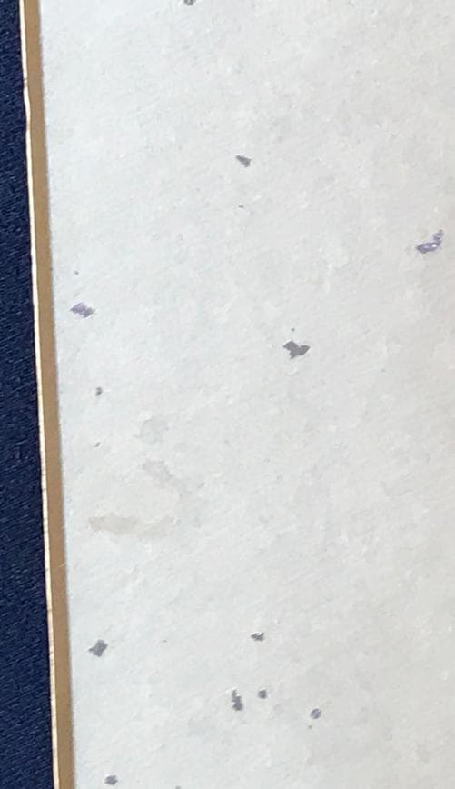 ・ZARD 坂井泉水　直筆「色紙」