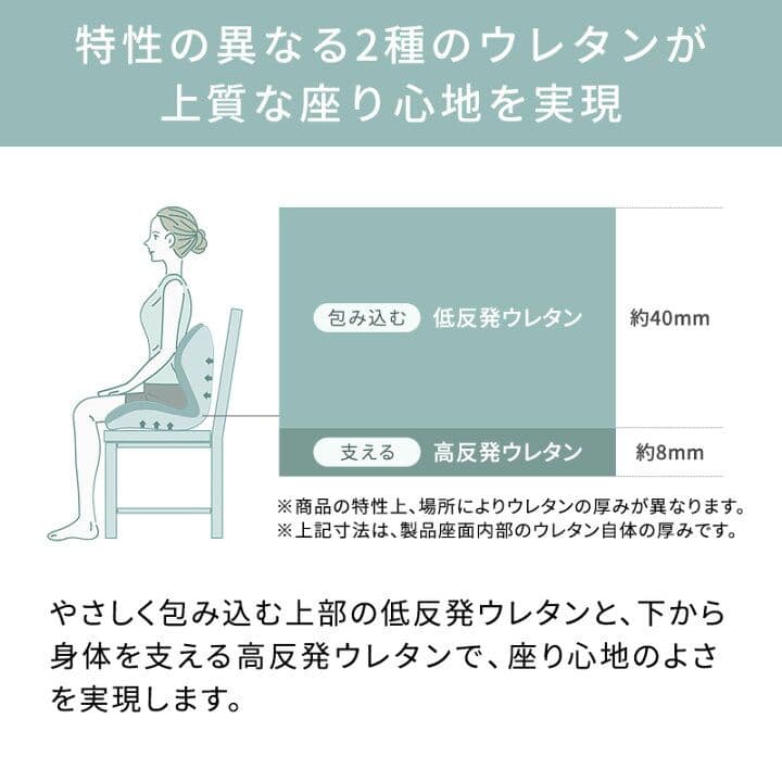 Style PREMIUM 姿勢矯正シート 黒色 YS-AL03A 説明書付