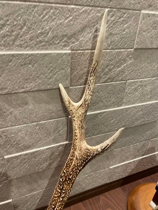 鹿の角 シンメトリー高め インテリア 置物