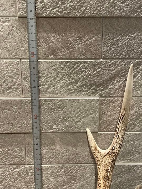 鹿の角 シンメトリー高め インテリア 置物