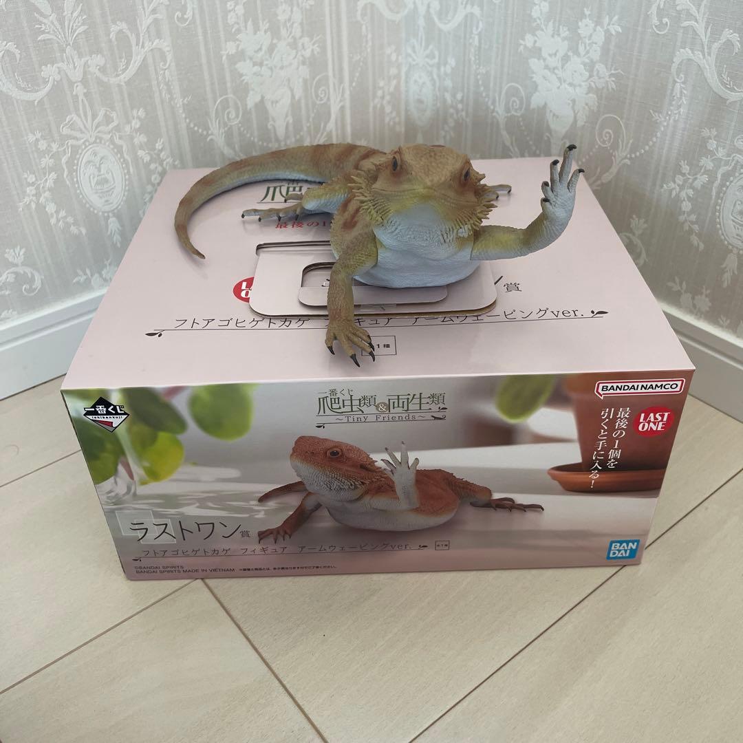 1番くじ 爬虫類＆両生類 ラストワン賞 - メルカリ