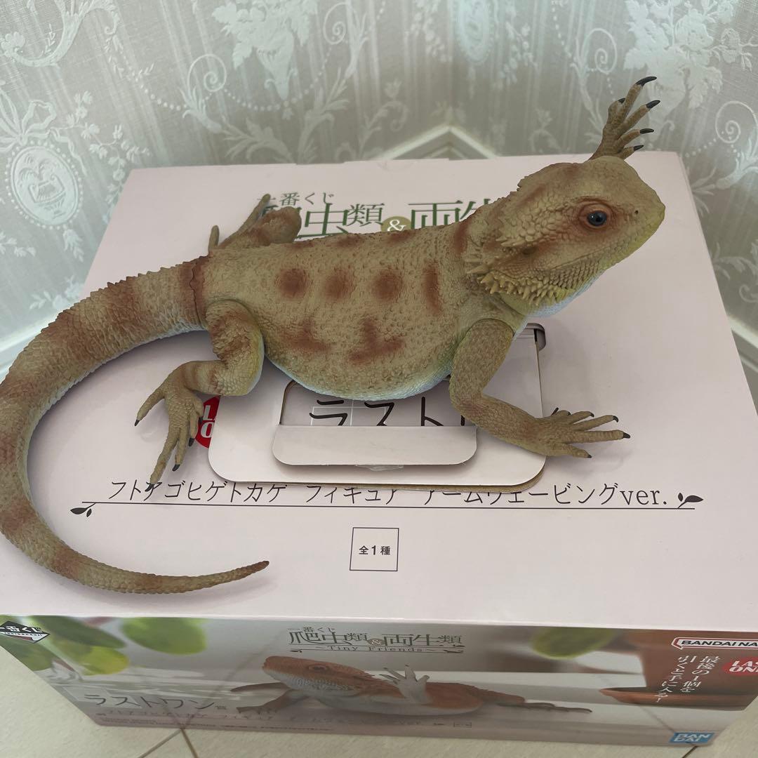 1番くじ 爬虫類＆両生類 ラストワン賞 - メルカリ