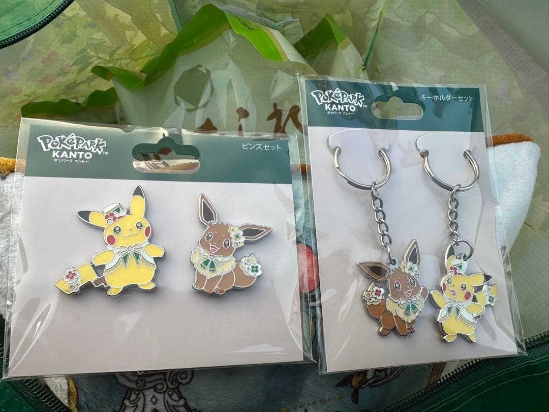 ポケパークカントー ピカチュウ イーブイ ピンズ キーホルダー - メルカリ