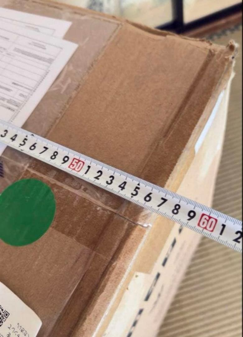 未開封品 深田えいみ『異世幻想』魅魔 フィギュア Succubus サキュバス