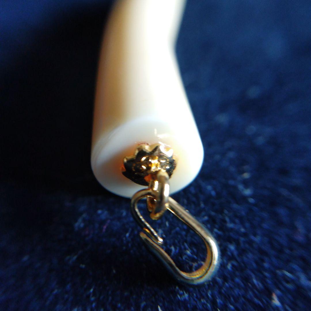 値下げ】鯨歯 マッコウクジラ 牙ペンダントトップ ① - メルカリ