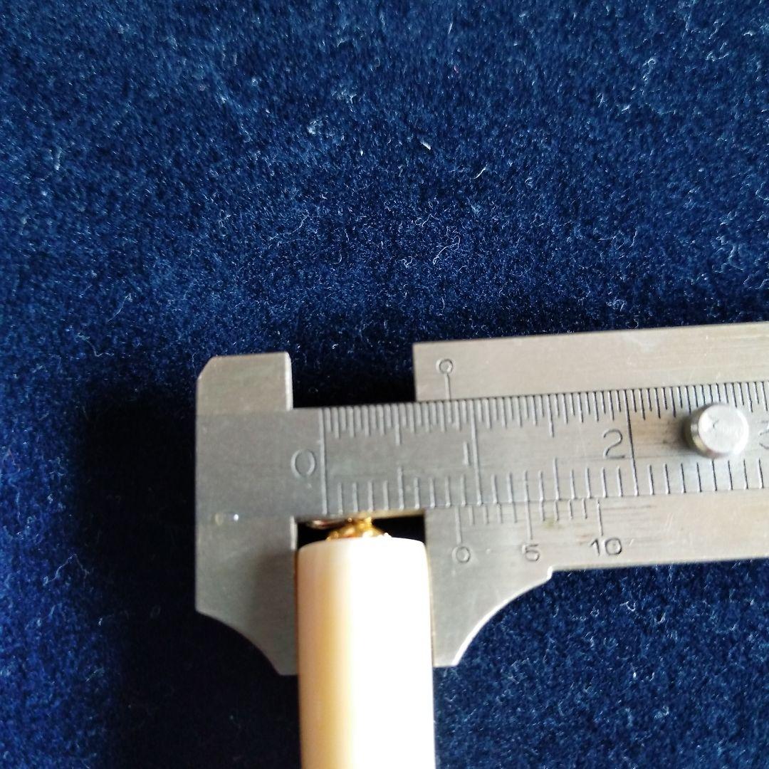 値下げ】鯨歯 マッコウクジラ 牙ペンダントトップ ① - メルカリ